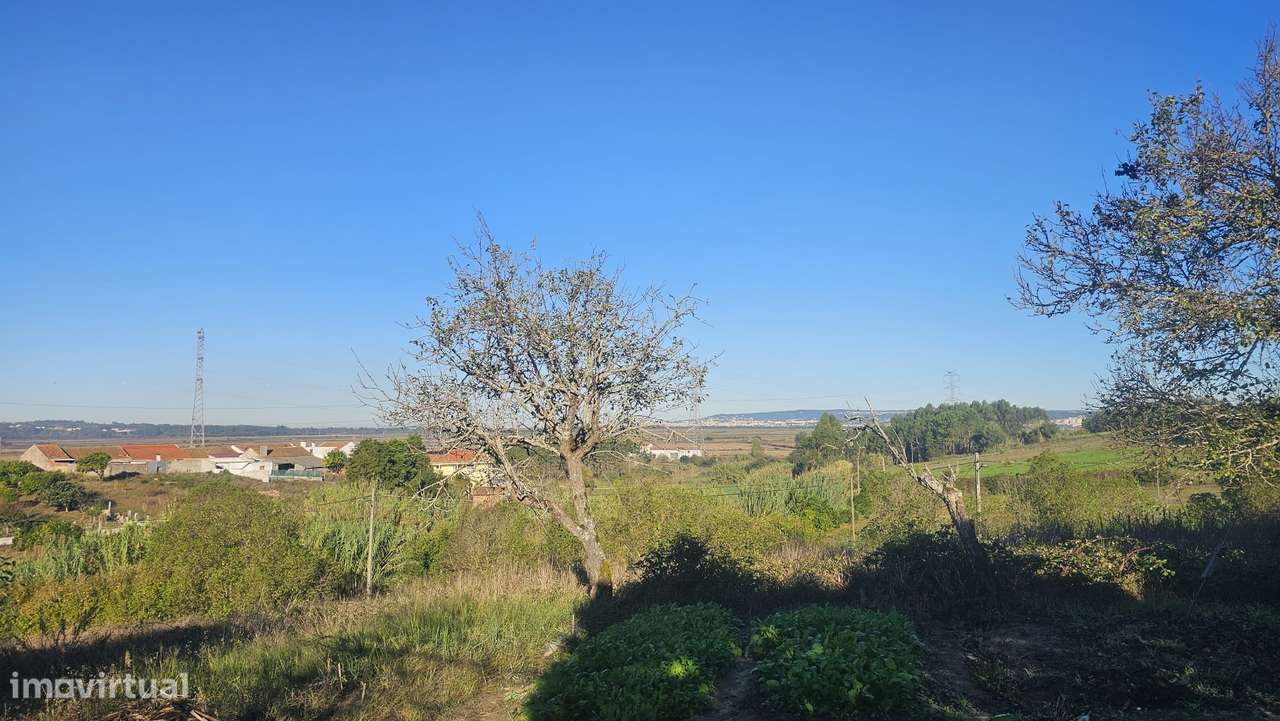 Terreno  Venda em Alqueidão,Figueira da Foz - Grande imagem: 3/38