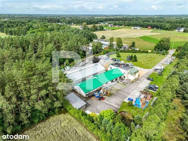 Obiekt produkcyjno-magazynowy w Kamieniu, niedalek - Pełny obrazek: 4/20