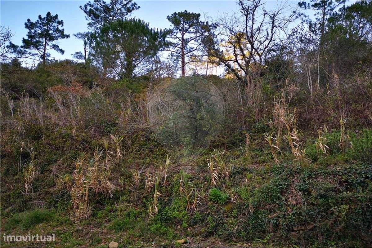 Terreno  para venda - Grande imagem: 4/4