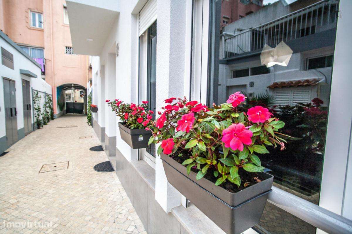 Apartamento com 1 quartos - localizado em Campolide Lisbon - Grande imagem: 2/8