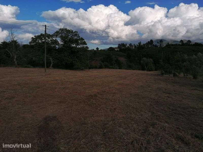 Quinta em Galizes - Grande imagem: 4/8