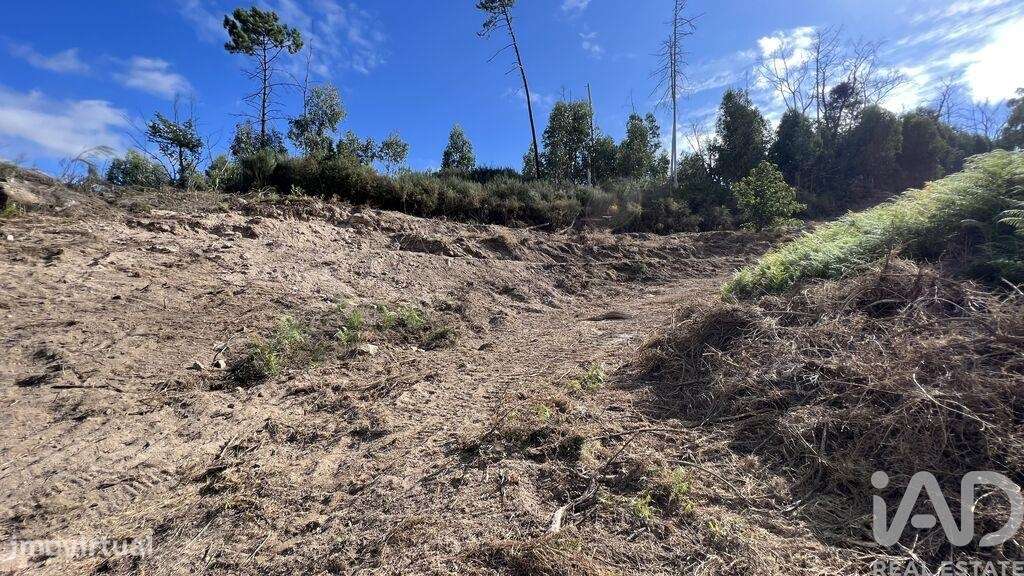 Terreno em Travanca de 24500,00 m2 - Grande imagem: 4/8