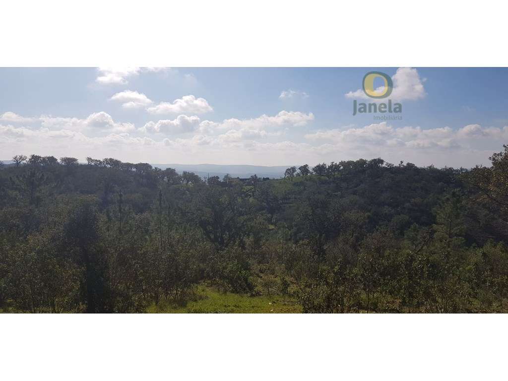 Terreno com 3 hectares e urbano de 1892 m2 para construir moradia - Grande imagem: 3/10