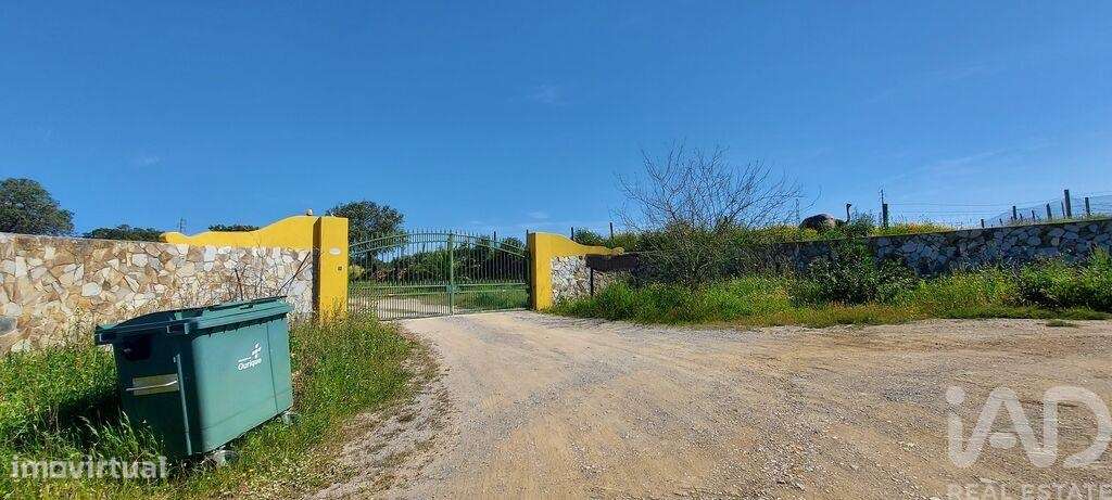 Propriedade T5 em Ourique de 792 m2 - Grande imagem: 3/40