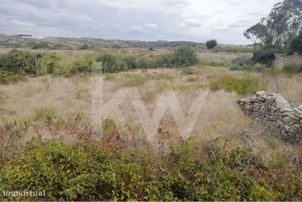 Terreno rústico com 1600m2 na Tojeira, 5 minutos praia do Magoito - Grande imagem: 5/23