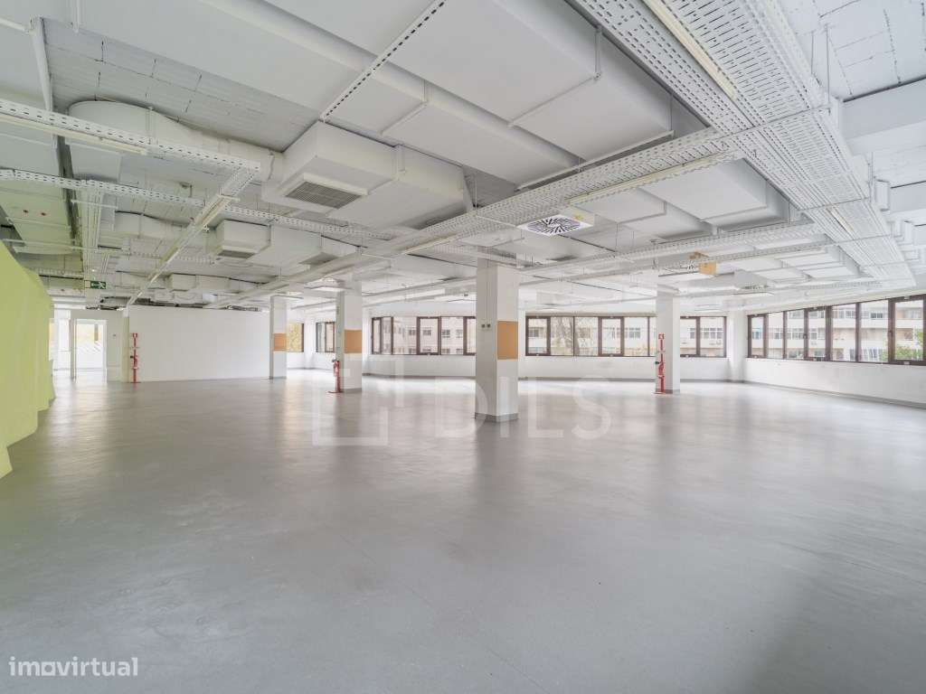 Escritório para arrendar, na Rua Ricardo Severo, Boavista - Grande imagem: 2/21