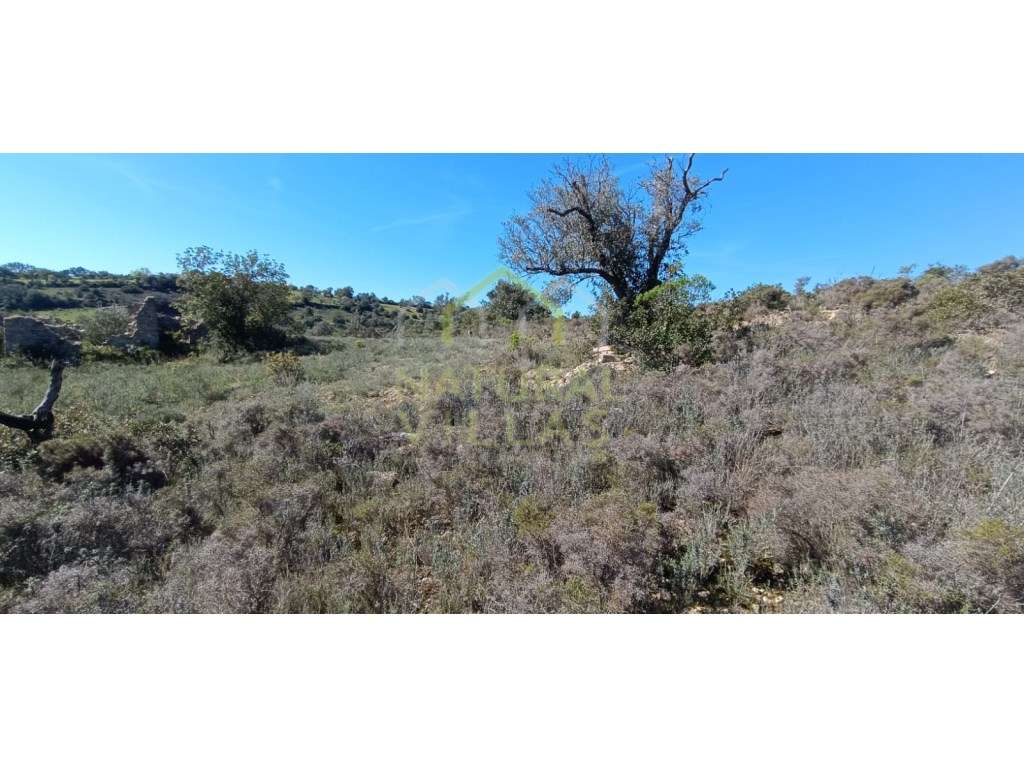 2 Terrenos Rústicos em Agostos, Santa Bárbara de Nexe, pelo Preço d... - Grande imagem: 4/10
