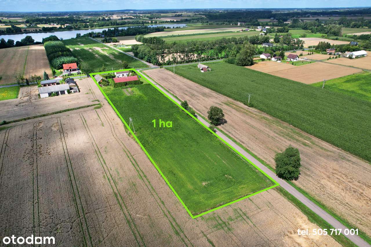 Siedlisko (dom+budynki gos.), 1 ha ziemi na Kujawach, blisko jeziora - Pełny obrazek: 4/19