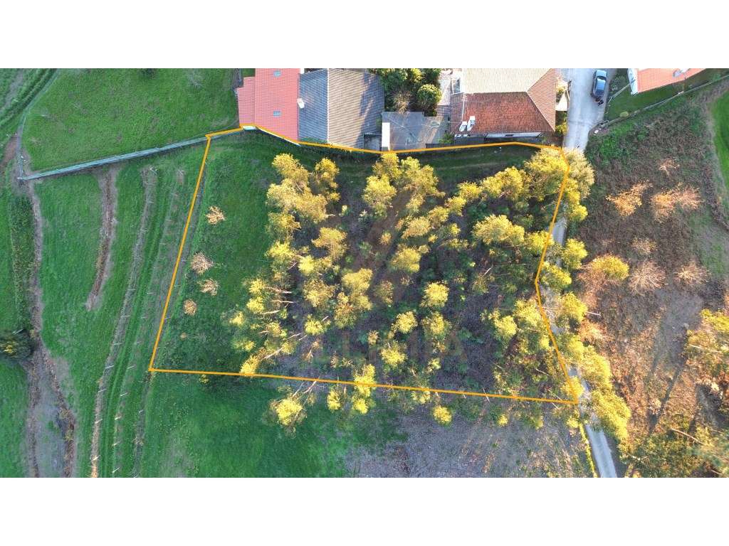 Terreno Urbano p/ Construção - Friastelas - Ponte de Lima - Grande imagem: 3/9