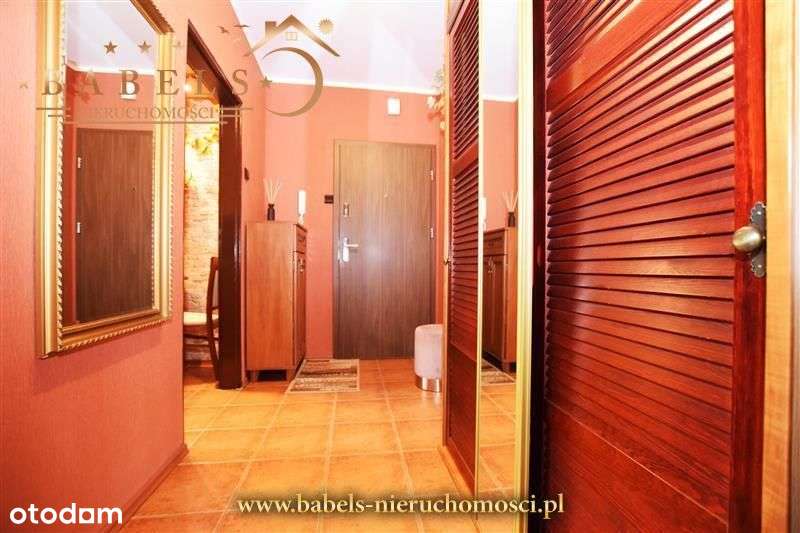 Bardzo zadbane 3-pokojowe z Loggia na Przylesiu-10