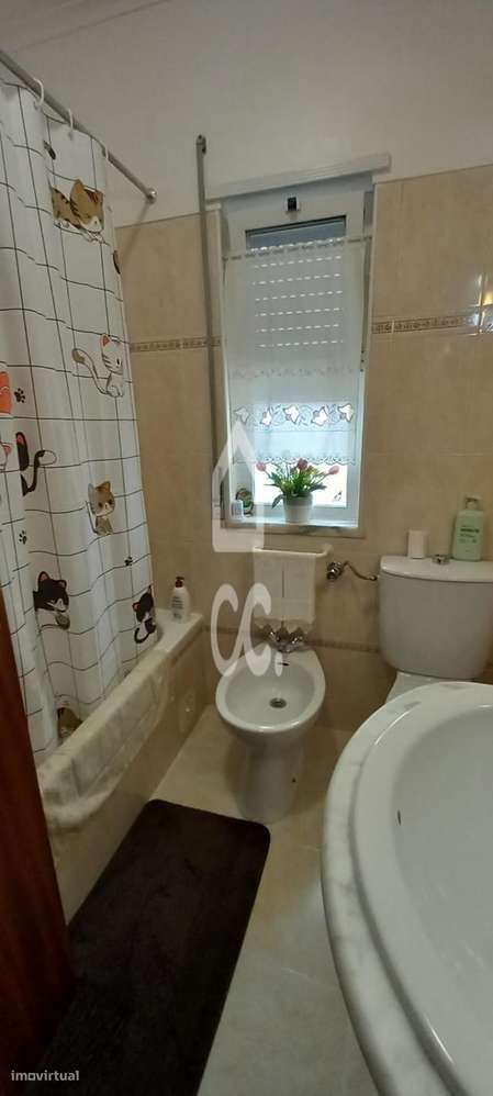 T4 na zona do Hospital-25