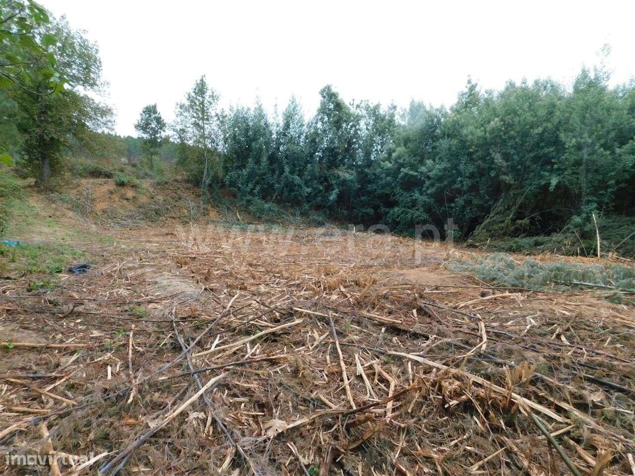 Terreno Rústico / Fundão, Alcaide - Grande imagem: 3/4