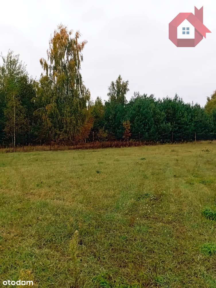 Działka 1726 m2 z prądem , Henryszew k/ Żyrardów-3