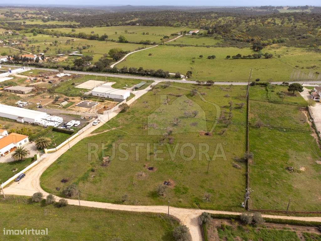 Quinta | Évora | Alentejo - Grande imagem: 3/22