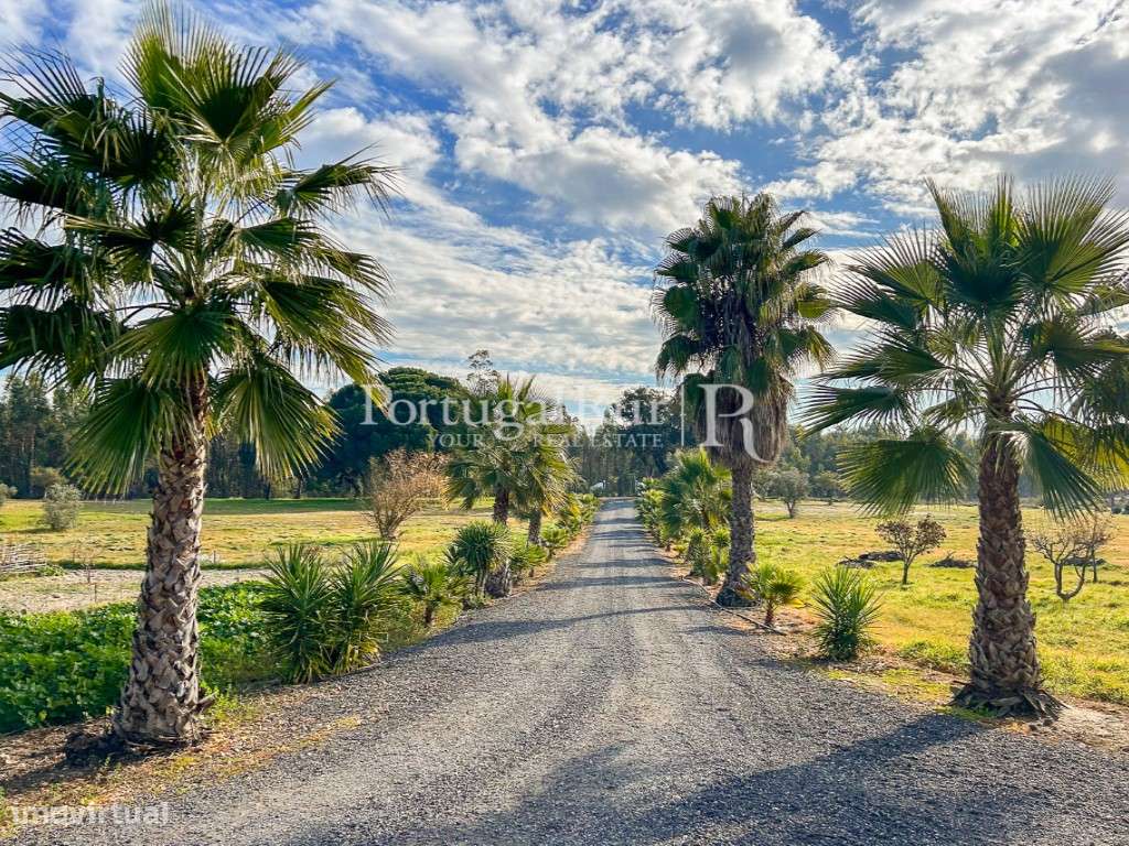 Quinta de 5 hectares, com 2 moradias e piscina-33