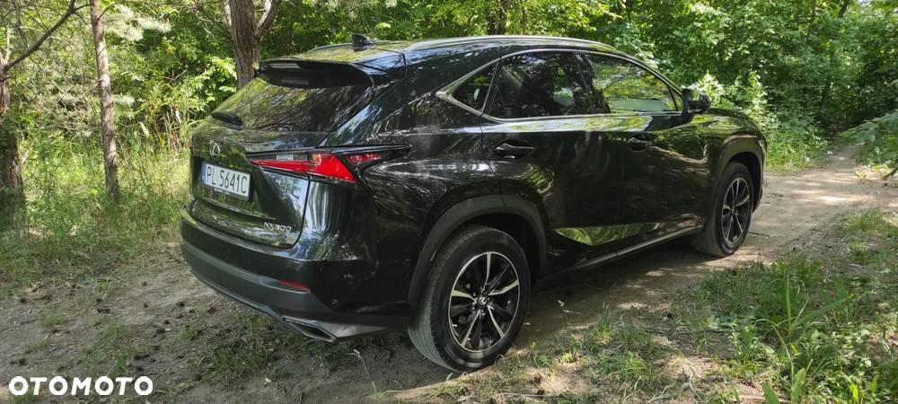 Lexus NX 300 Prestige AWD - 34