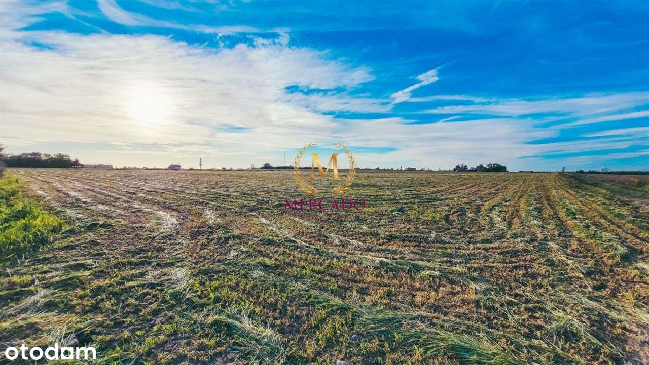 Działka inwestycyjna Wieniec 1,1163 ha, 63zł/m2 - Pełny obrazek: 4/9