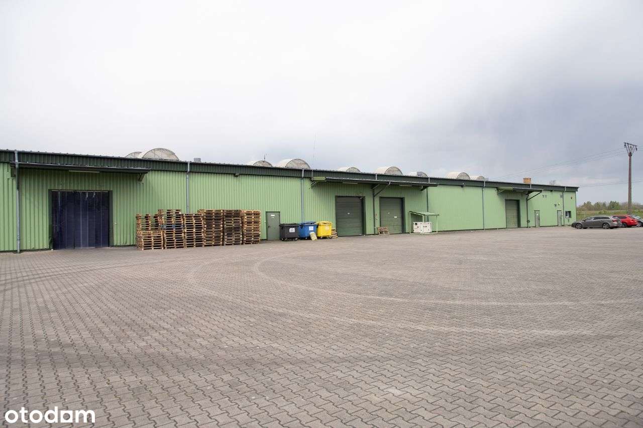 Hala magazynowa produkcyjna Magazyn 4771m2 2ha - Pełny obrazek: 4/20