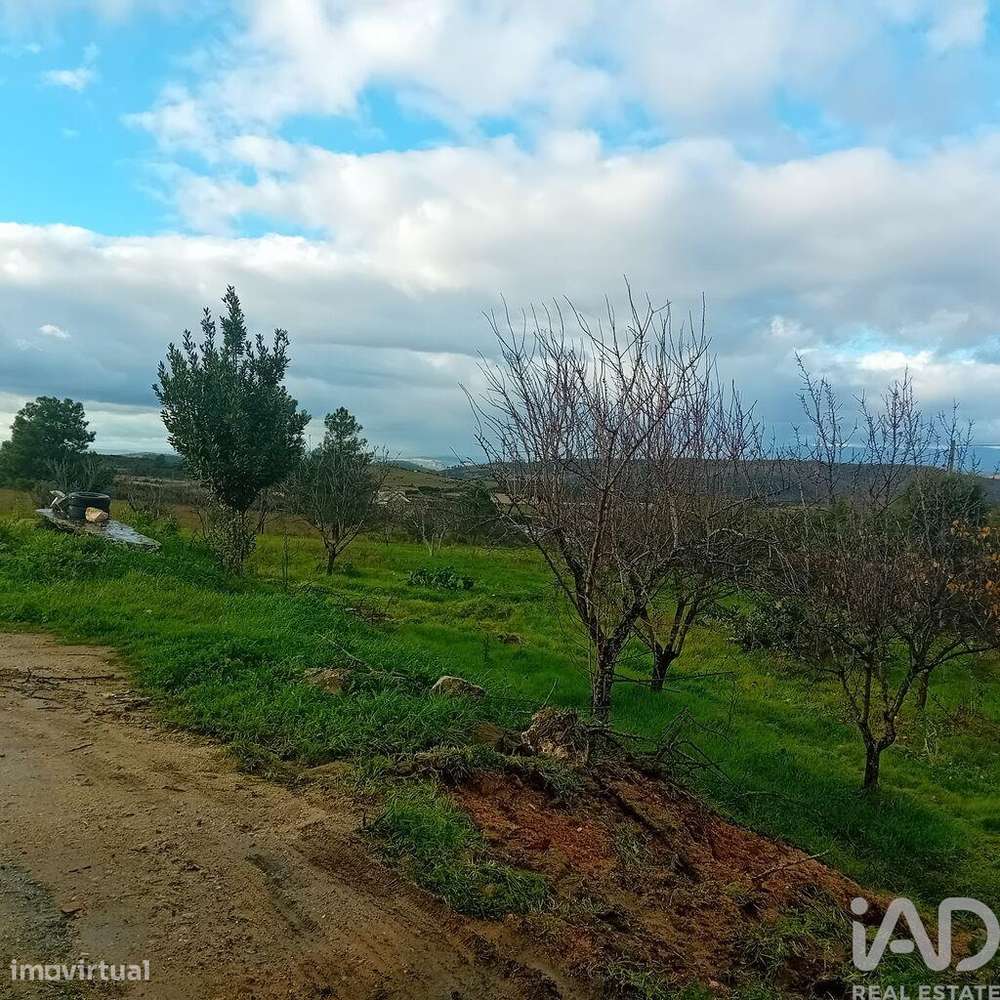Casa / Villa T4 em Lagoaça e Fornos de 136,00 m2 - Grande imagem: 5/28