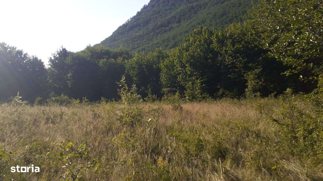 Roscani-Dobra-Teren Cabana-10km A1-Posibilitate Rate - Imagine principală: 1/8