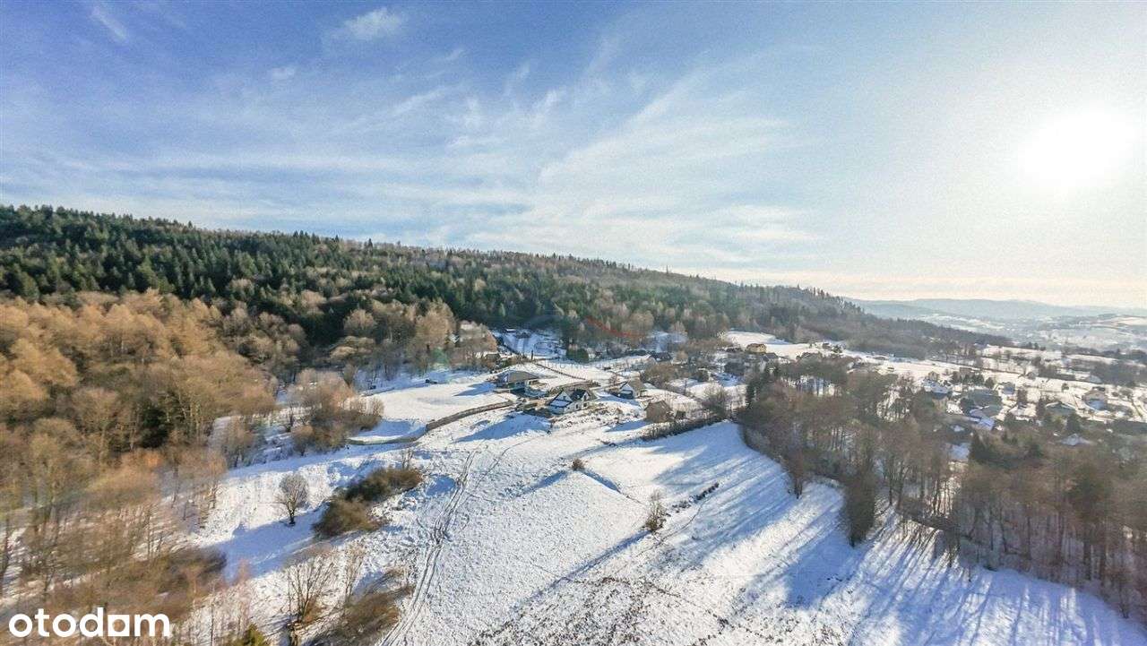 Malownicza działka pod lasem-6