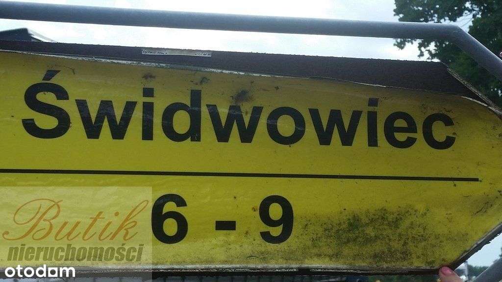 Trzciel Świdwowiec 5,4 h działka rolna ze studium-7