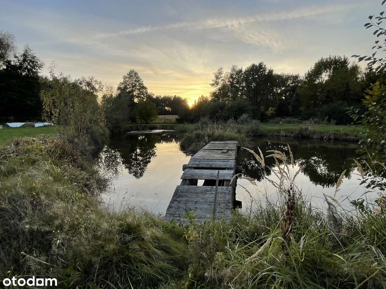 Wyjątkowy dom ze stawem i działką 0.6 ha-Słone 8 km od Zielonej Góry-9