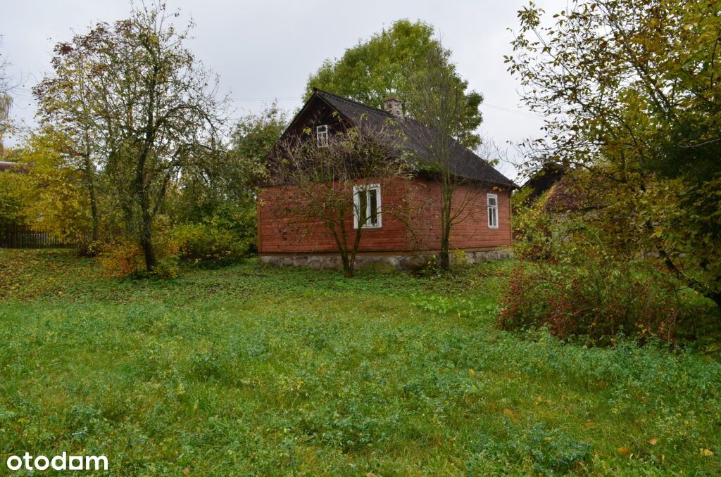 Siedlisko usytuowane we wsi Koszewo – gm. Brańsk.