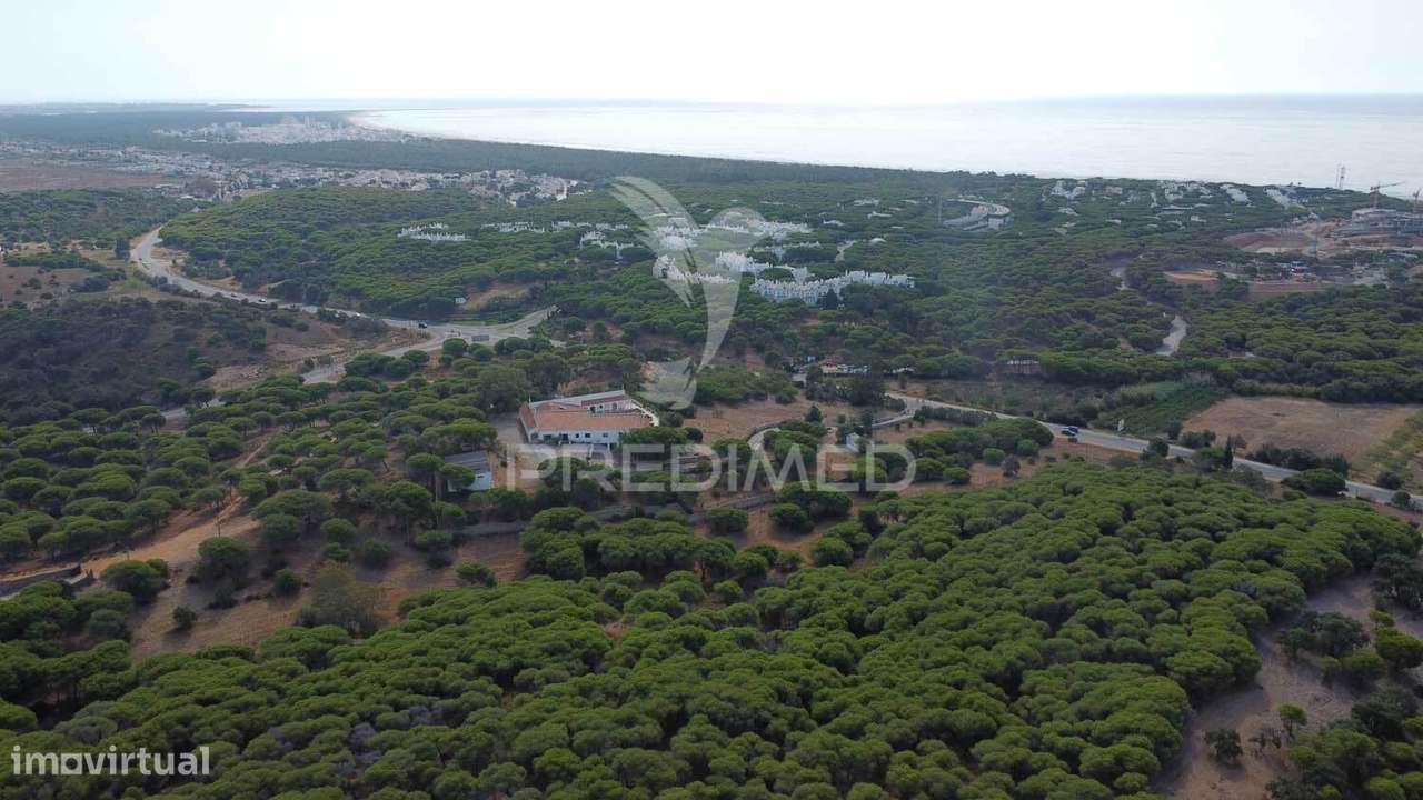 Terreno misto, Altura, 17ha, 8100m2 construção, PIP aprovado - Grande imagem: 5/22