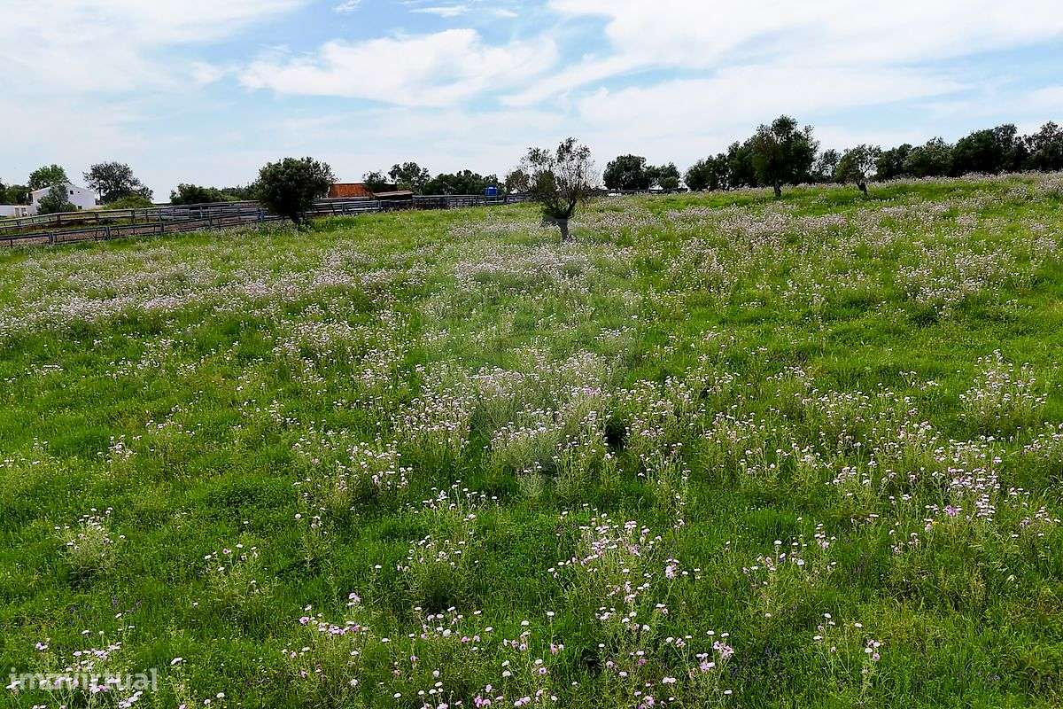Terreno  para venda-4