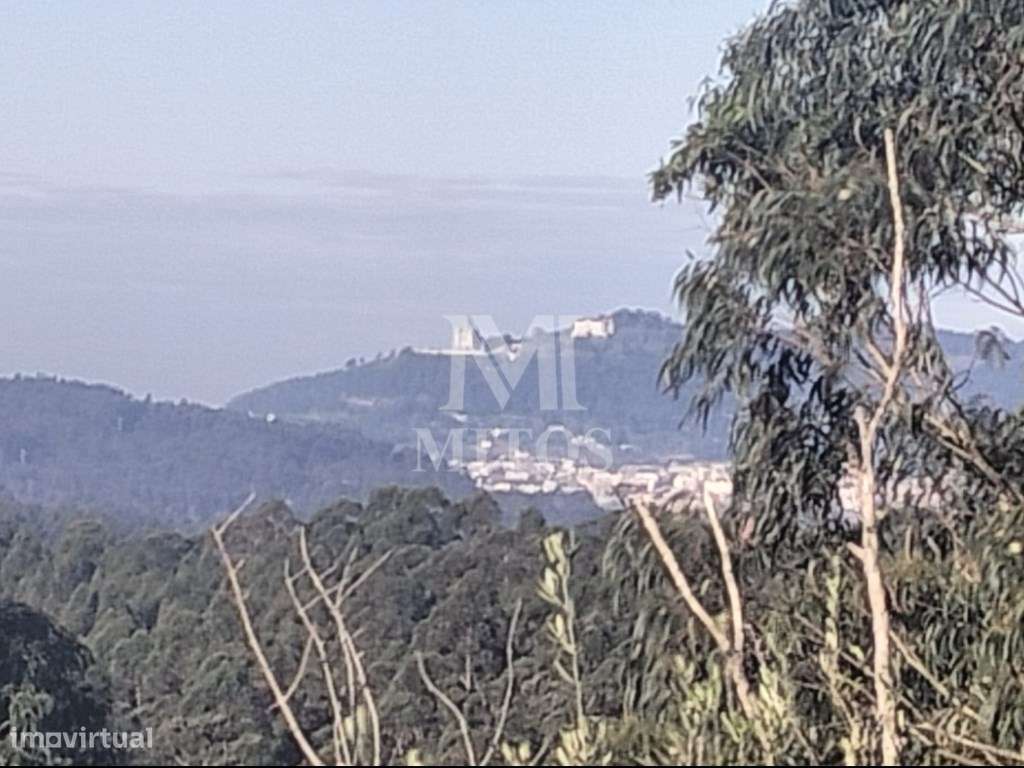 Moradia de tipologia T2+1 - Vila de Punhe-11