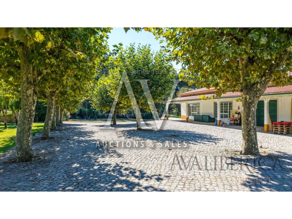 Quinta com 3,14 Hectares e Piscina | Ferreira do Zêzere-55