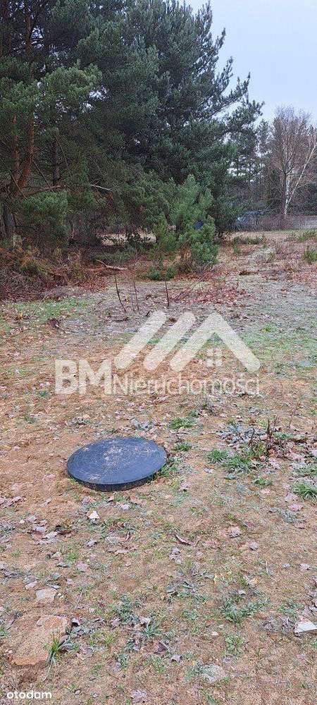 Szczęsne, 1600 m2, - Pełny obrazek: 4/4