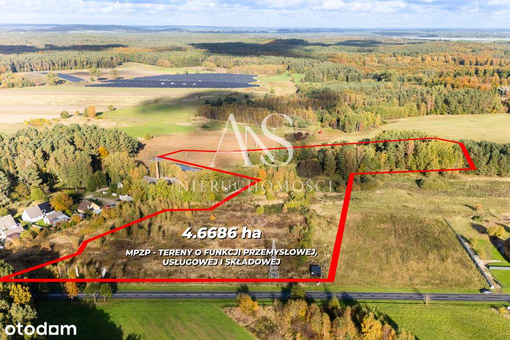 Działka produkcyjno-usługowa 4,6 ha, Golczewo - Pełny obrazek: 4/6