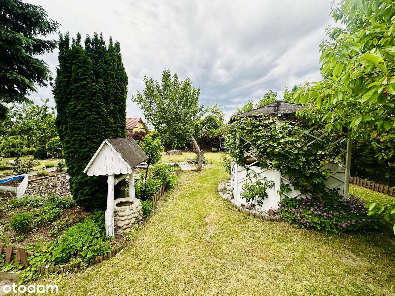 Działka rekreacyjna 6 arów – Kulów k. Głogowa – ROD RELAX - Pełny obrazek: 4/8