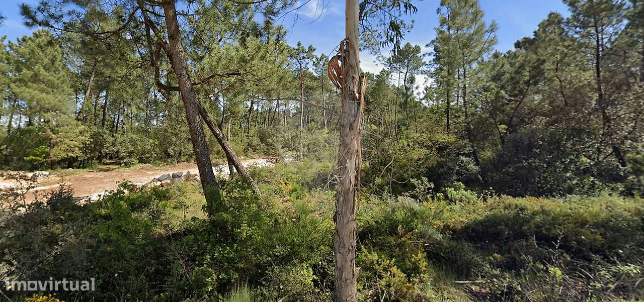 Terreno  para venda - Grande imagem: 4/12