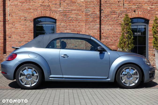 Volkswagen Beetle - 6