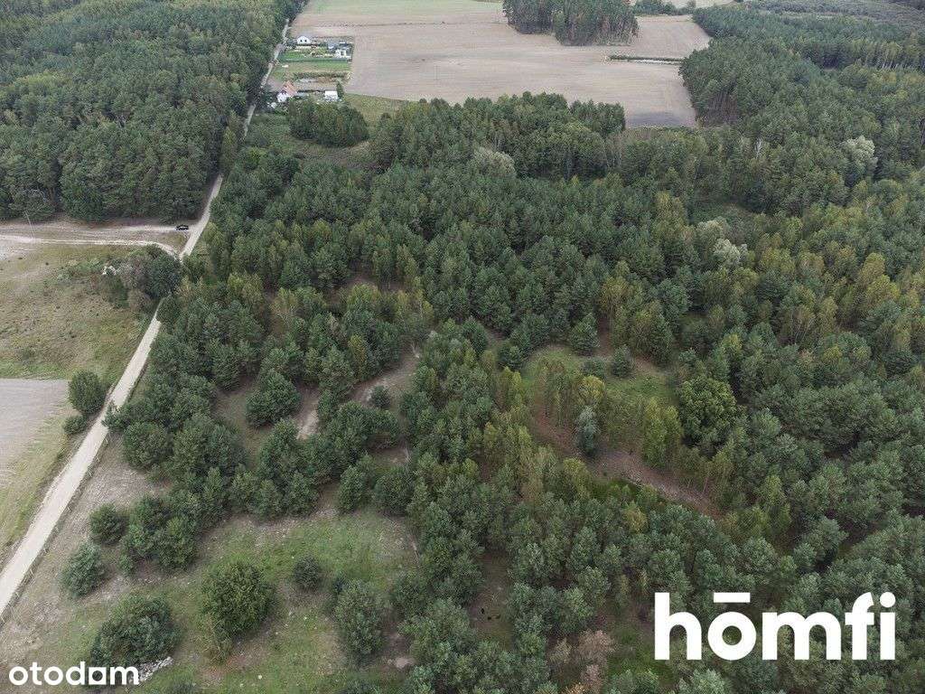 Duża działka w malowniczej wsi - Pełny obrazek: 4/9