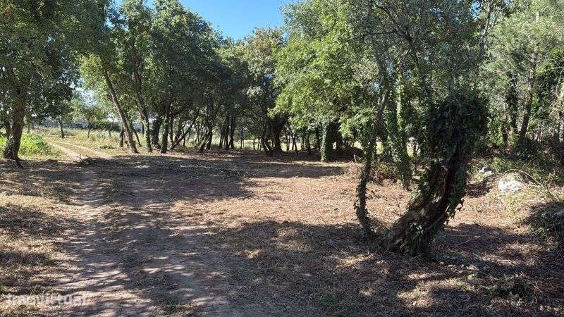 Terreno 3600M2 Natureza - Grande imagem: 2/3