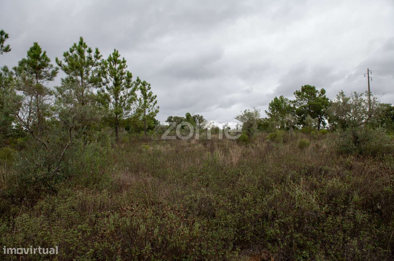 Terreno Rústico com 12.120 m² em Freixial do Campo - Castelo Branco - Grande imagem: 4/22