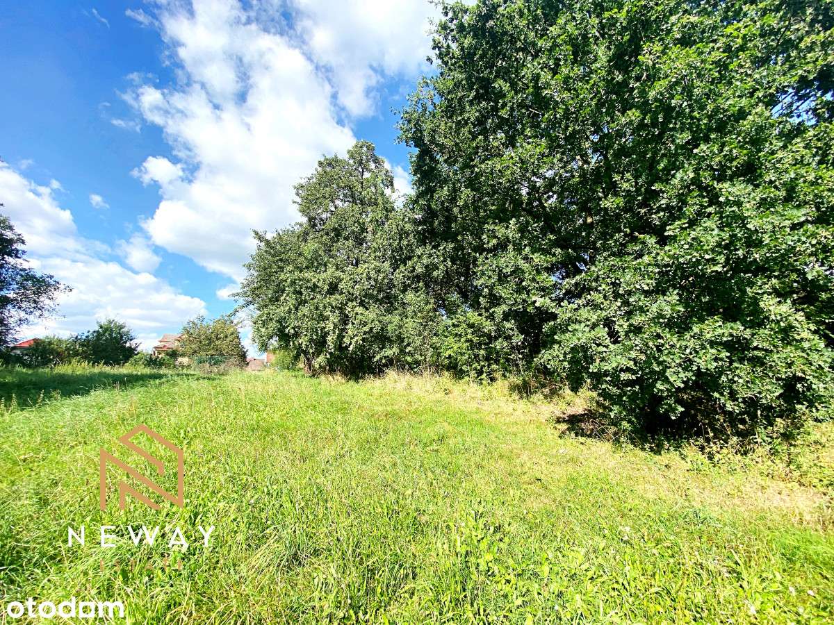 Duża ładna działka rolna z  z częścią budowlaną. - Pełny obrazek: 5/12
