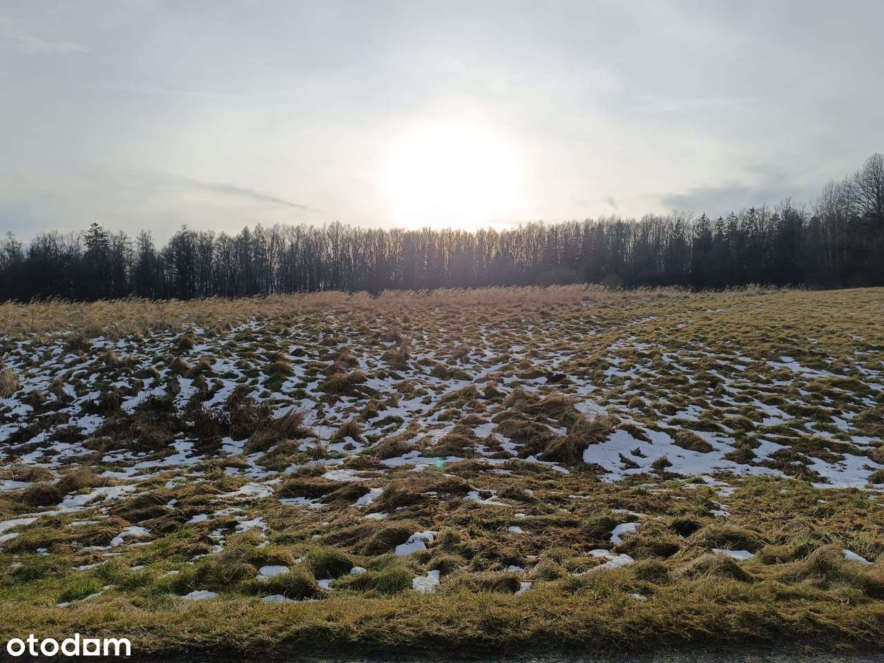 Działka 5900 m^2 - Pełny obrazek: 5/5
