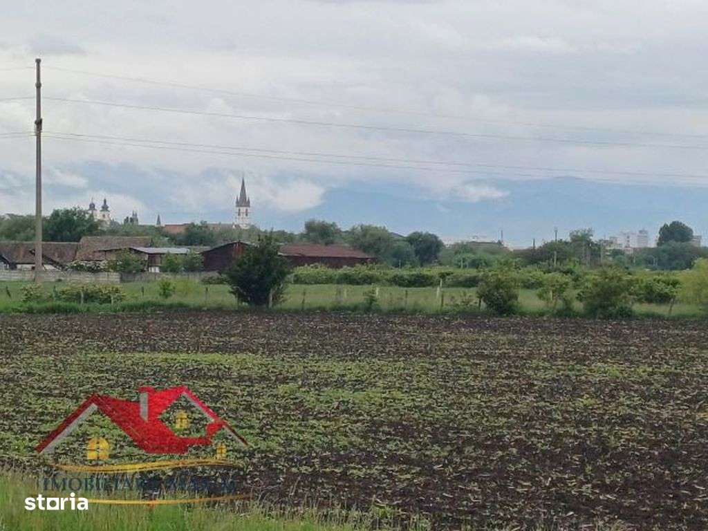 Imobiliare Maxim  teren extravilan Gușterița-9