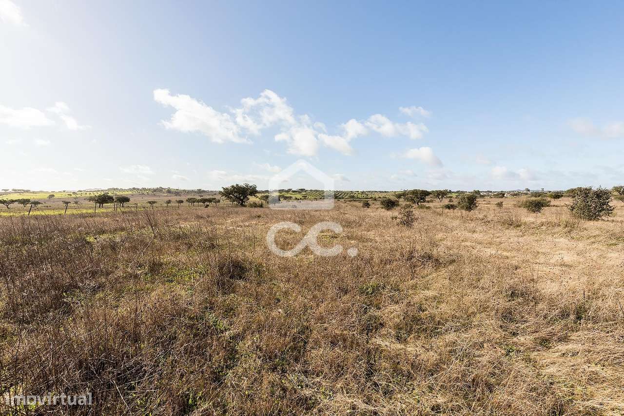 Terreno de 5,4 ha c/ Viabilidade de Construção | Capelins, Alandroal-11