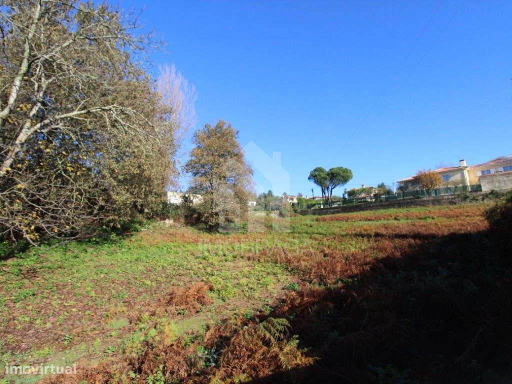 Venda de Terreno para Lotear, em Gualtar, Braga-1