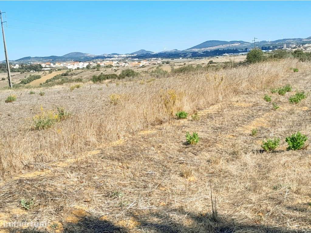 Terreno para Venda - Carne Assada, Terrugem - Grande imagem: 4/9