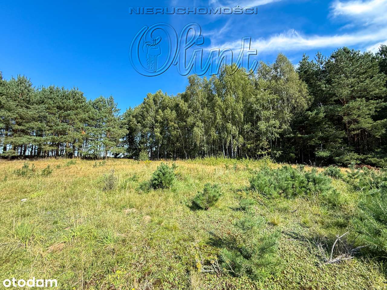 Lubowidz 4 działki nad jeziorem - Pełny obrazek: 5/12