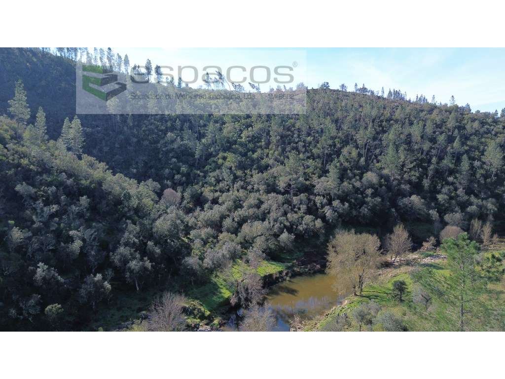 Terreno a confinal com 2 ribeiros - Grande imagem: 5/14