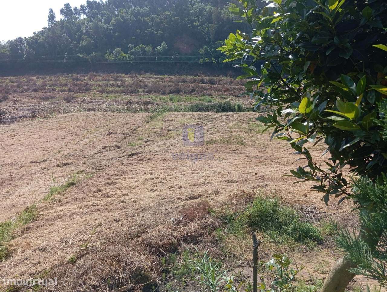 Terreno com 1.500m2 e com possibilidade de construção de 114m2 de impl - Grande imagem: 5/8