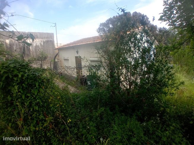 Propriedade junto ao Freixo-8